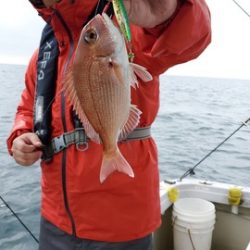 遊漁船 ニライカナイ 釣果