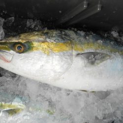 こうゆう丸 釣果