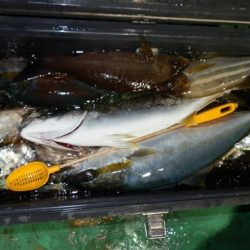 第二むつ漁丸 釣果