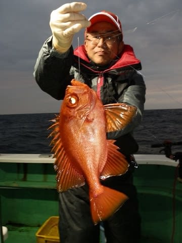 第二むつ漁丸 釣果