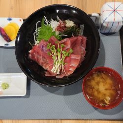 気仙沼 つり丸 釣果