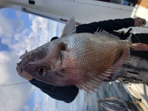 白墨丸 釣果
