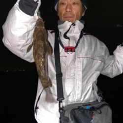 シーマジカル 釣果