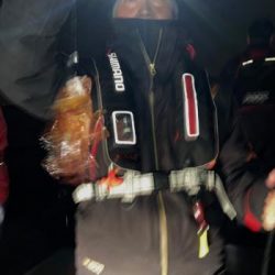 シーマジカル 釣果