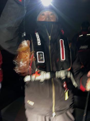 シーマジカル 釣果