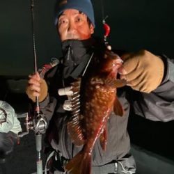 シーマジカル 釣果