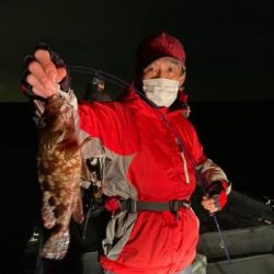 シーマジカル 釣果