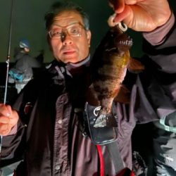 シーマジカル 釣果