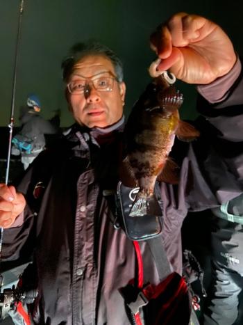 シーマジカル 釣果