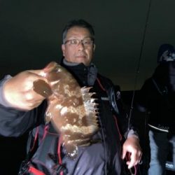 シーマジカル 釣果