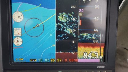 遊漁船　ニライカナイ 釣果