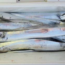 遊漁船 ニライカナイ 釣果