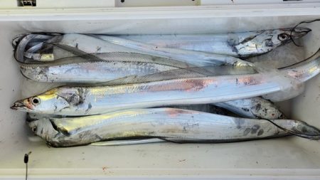 遊漁船 ニライカナイ 釣果