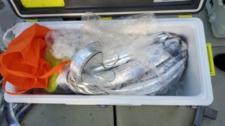 遊漁船　ニライカナイ 釣果