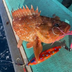 広進丸 釣果