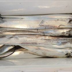 遊漁船 ニライカナイ 釣果