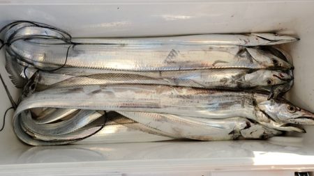 遊漁船 ニライカナイ 釣果