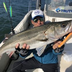 Rush(ラッシュ) 釣果