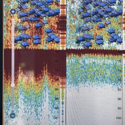 まるいち丸 ZERO-1 釣果