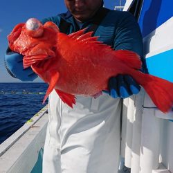 結愛丸 釣果