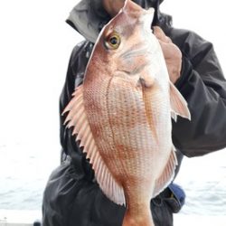 遊漁船 ニライカナイ 釣果