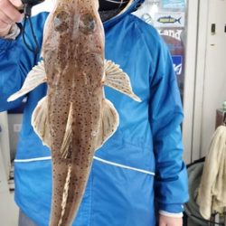 遊漁船 ニライカナイ 釣果