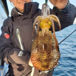 遊漁船　ニライカナイ 釣果