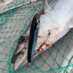 へいみつ丸 釣果