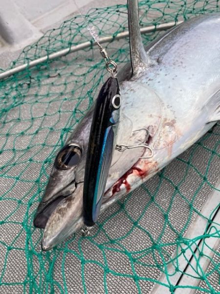 へいみつ丸 釣果