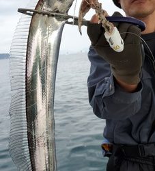 遊漁船　ニライカナイ 釣果