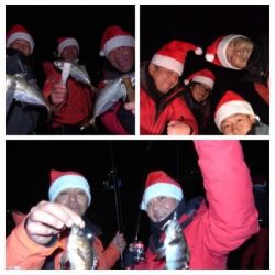 シーマジカル 釣果