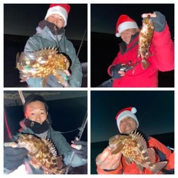 シーマジカル 釣果