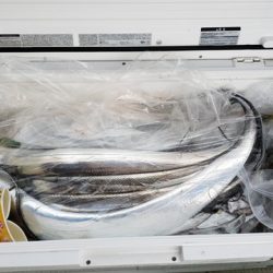 遊漁船 ニライカナイ 釣果