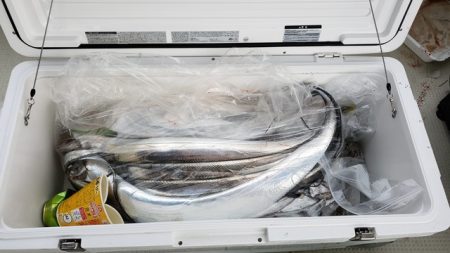 遊漁船 ニライカナイ 釣果