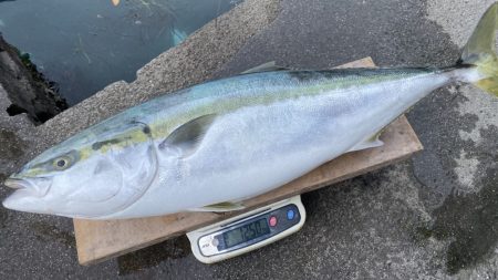 まるいち丸 ZERO-1 釣果