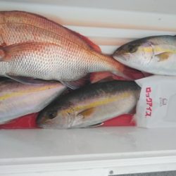 遊漁船 新鋭丸 釣果