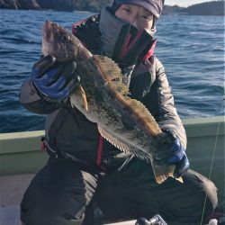 気仙沼　つり丸 釣果