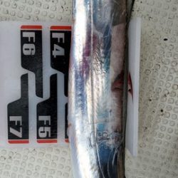 遊漁船 ニライカナイ 釣果