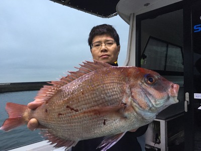 ミタチ丸 釣果