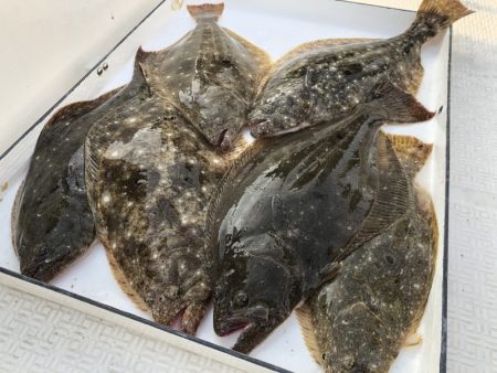 Magic(マジック) 釣果