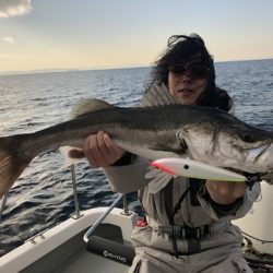 Rush(ラッシュ) 釣果