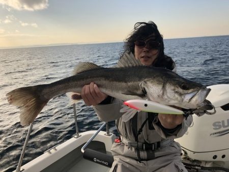 Rush(ラッシュ) 釣果