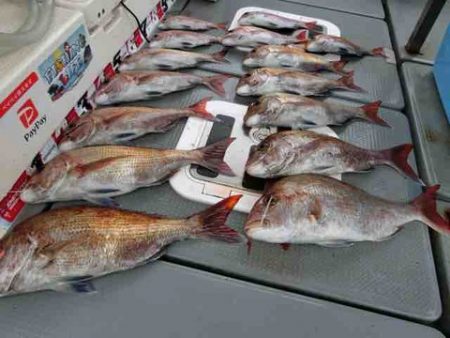 遊漁船 セトマリン 釣果