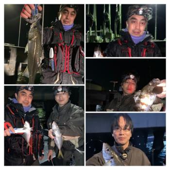 シーマジカル 釣果