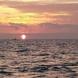 遊漁船 新鋭丸 釣果