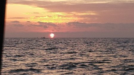 遊漁船 新鋭丸 釣果