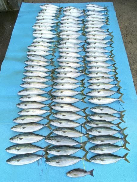 まるいち丸 ZERO-1 釣果