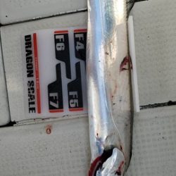 遊漁船 ニライカナイ 釣果