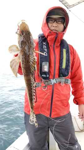 遊漁船 ニライカナイ 釣果