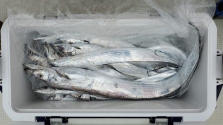 遊漁船 ニライカナイ 釣果